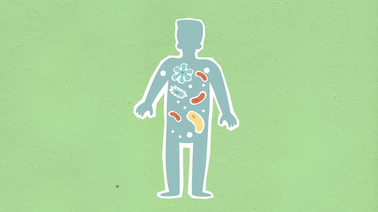 From above of cutout cardboard illustration of person with different bacteria spreading in body on green background