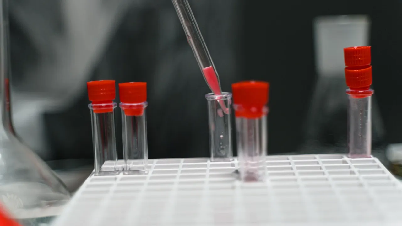 Close-up of pipette transferring liquid in laboratory test tubes.