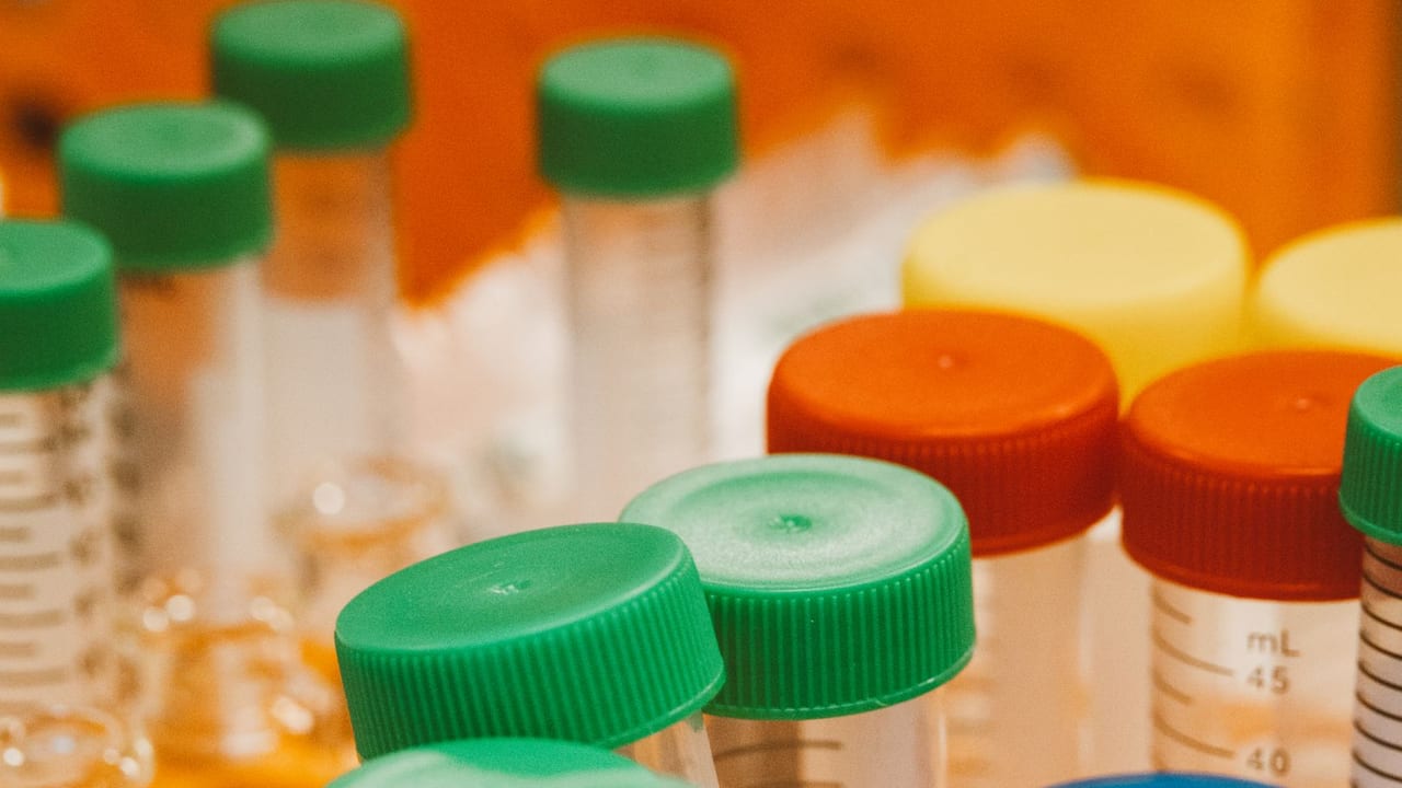New Insights into Type 1 Diabetes: How a Single Change in the Insulin Peptide Affects Immune Response