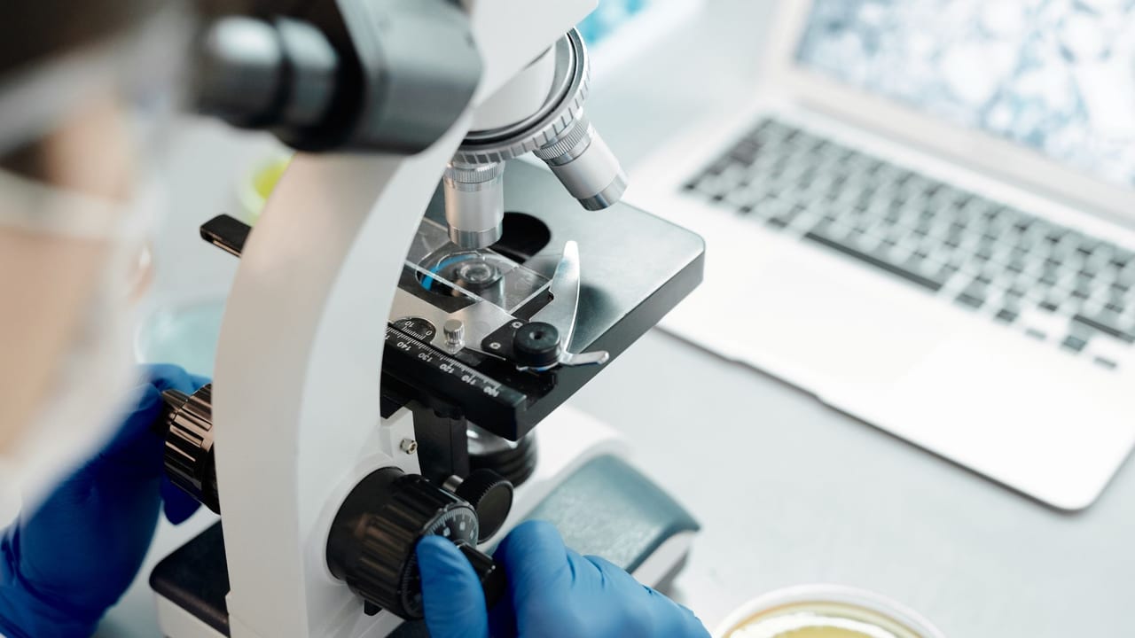 HLA Alleles and Type 1 Diabetes: What We Know About the Russian Population
