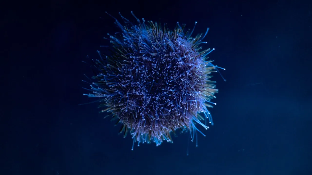 A blue, spiky sea creature floats in darkness.