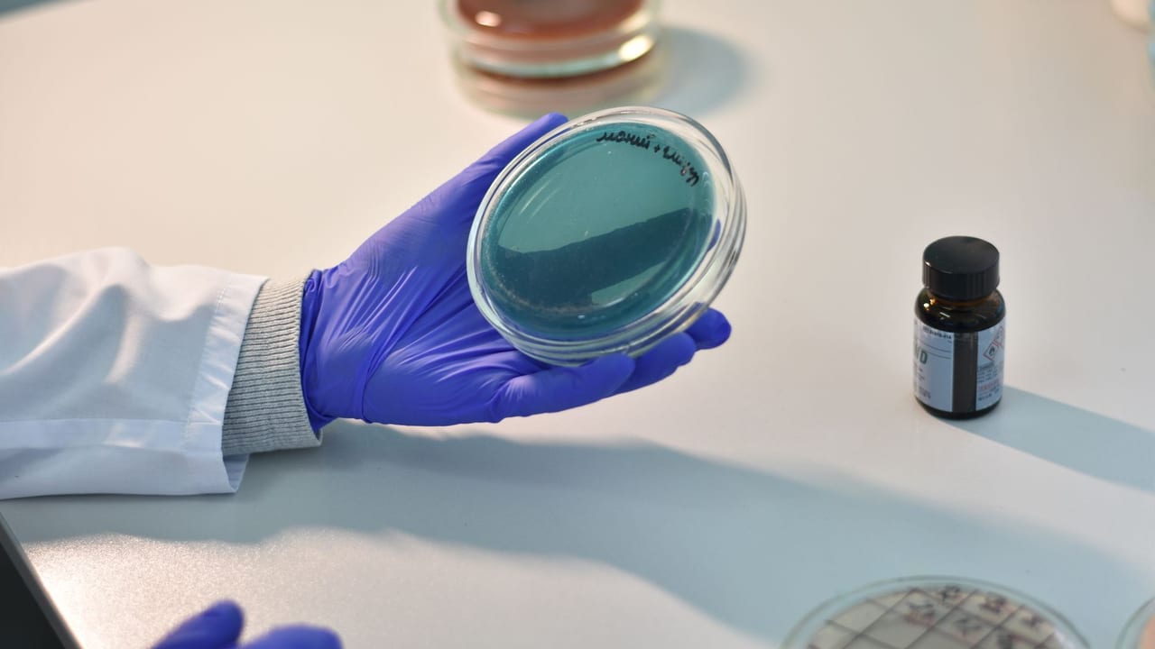Rare Autoimmune Condition Causes Type 1 Diabetes Link