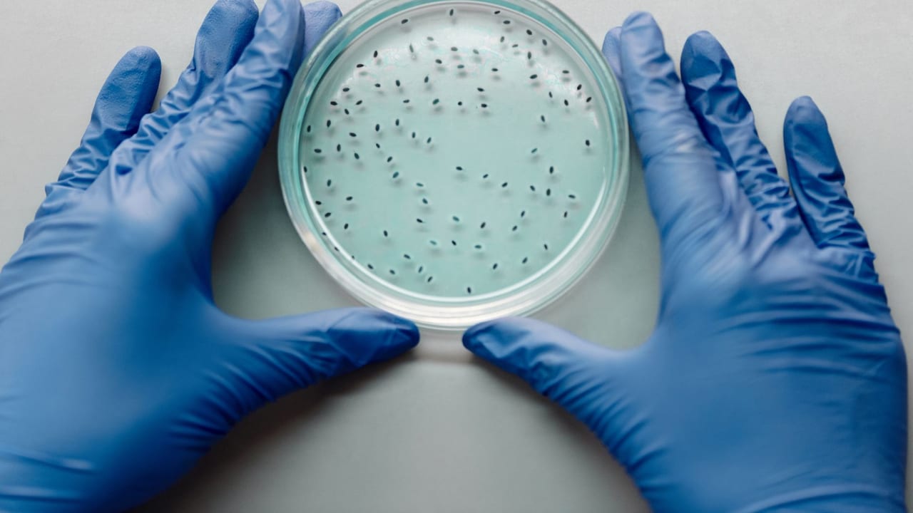 Coxsackievirus B and Type 1 Diabetes: New Insights into Immune Response