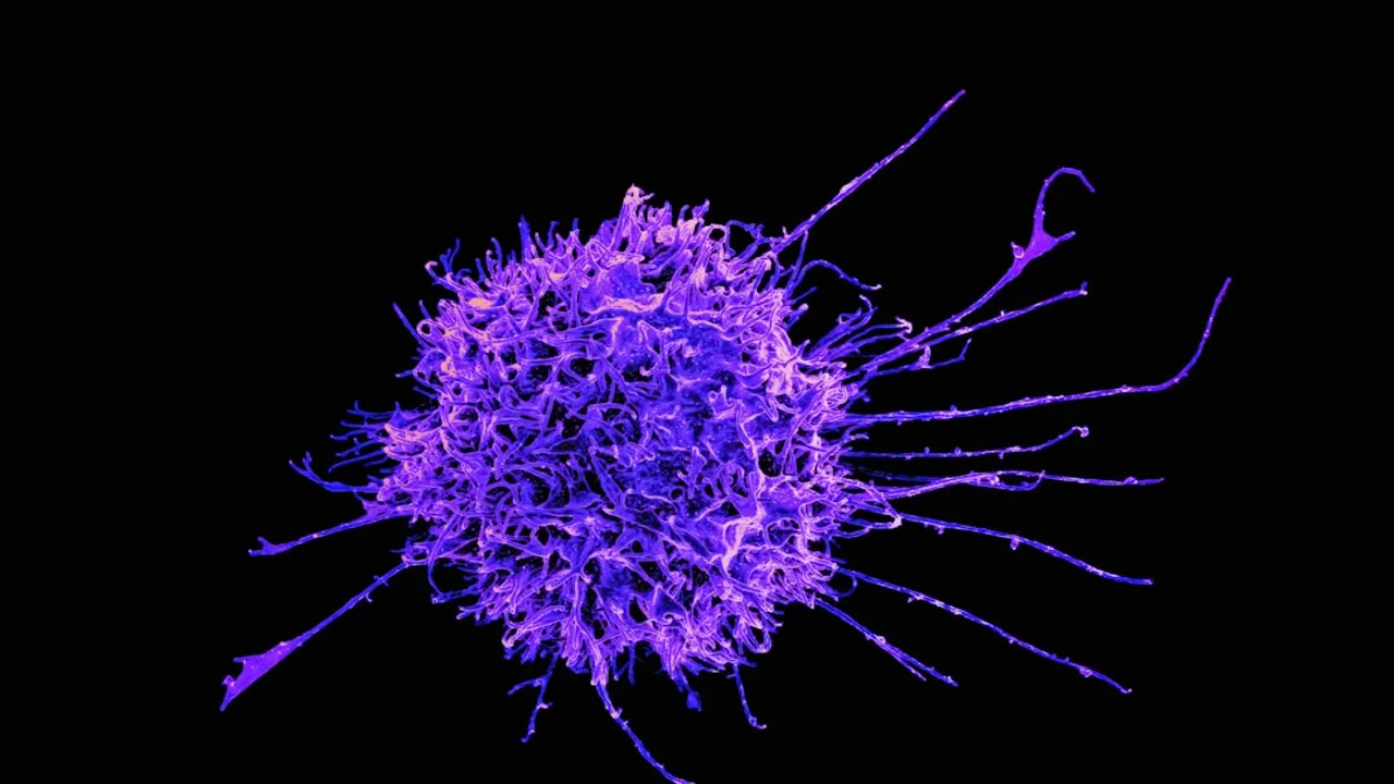 a purple substance is shown on a black background