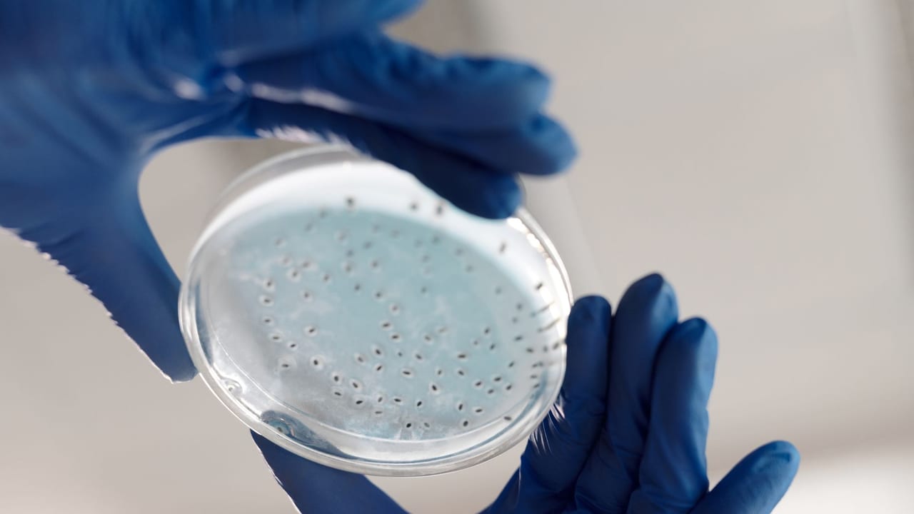 New Hope for Type 1 Diabetes: Understanding Teplizumab and Its Promise