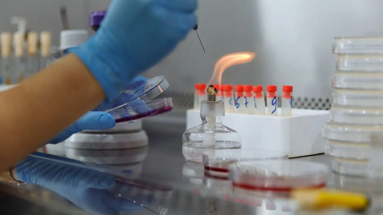 Close-up of a scientist conducting an experiment with petri dishes and a Bunsen burner in a laboratory.