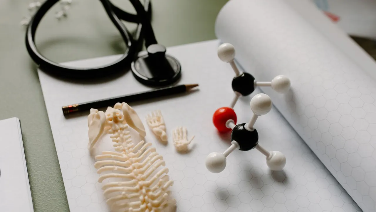 Flat lay of a skeleton model, molecule structure, and stethoscope on hexagon graph paper for educational purposes.