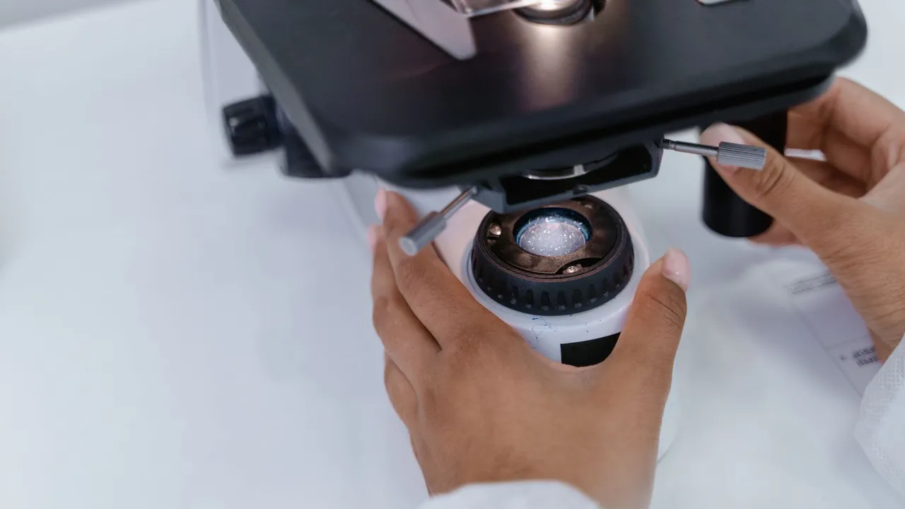 A scientist adjusts a microscope in a laboratory setting, focusing on the sample.