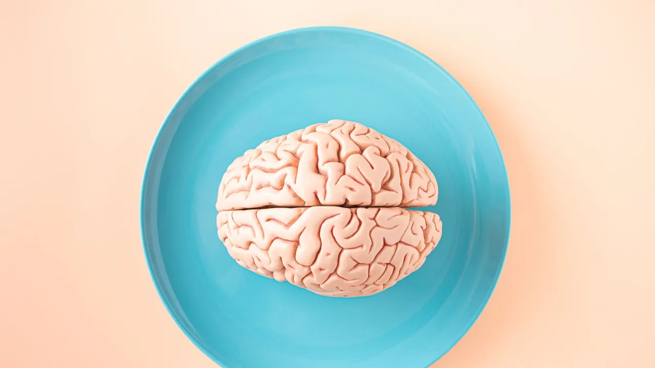 A human brain model placed on a blue plate, viewed from above against a pastel background.