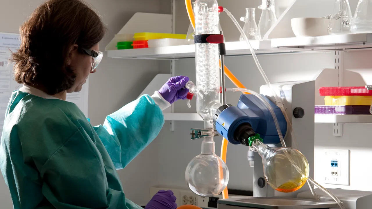 Laboratory scientist conducts an experiment with a Rotary evaporator