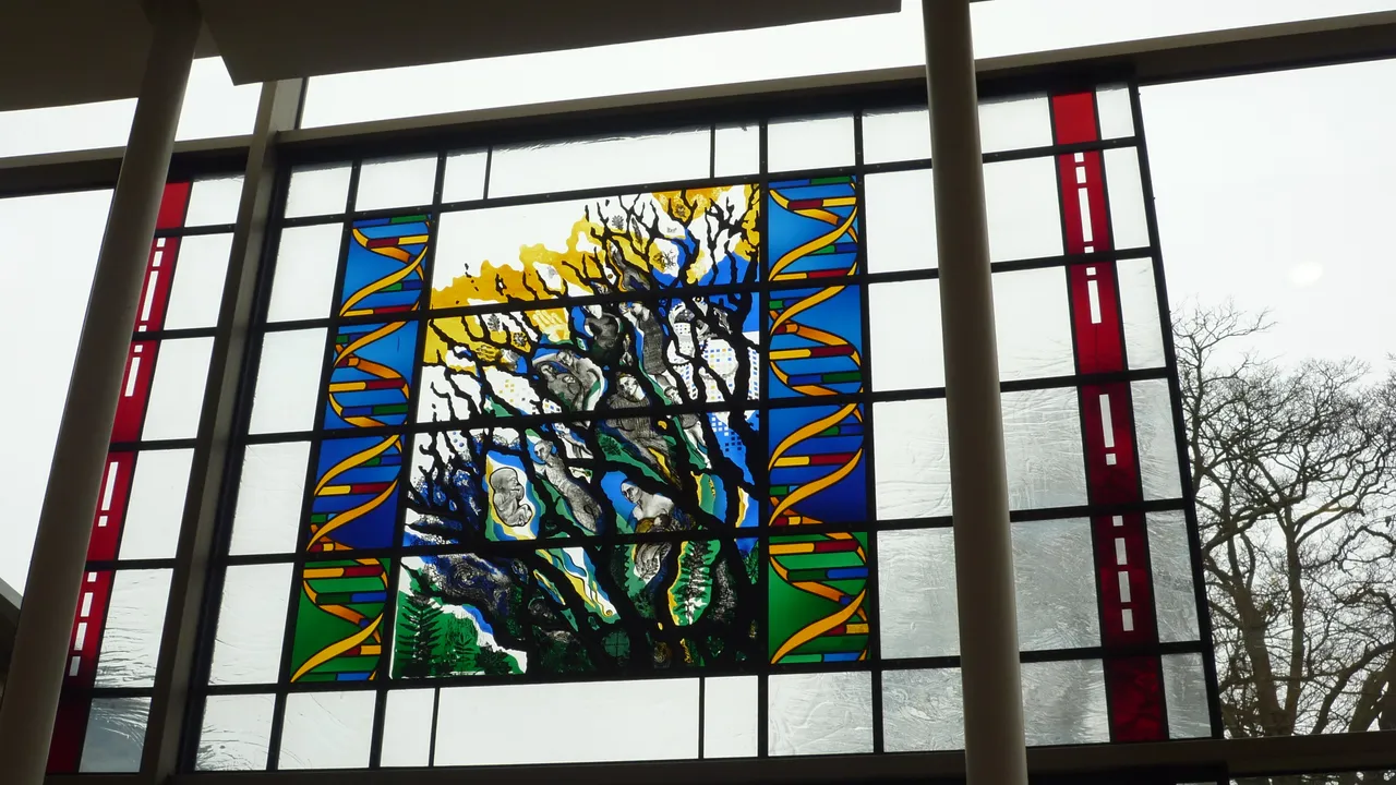 DNA Helix and Tree of Life stain glass window