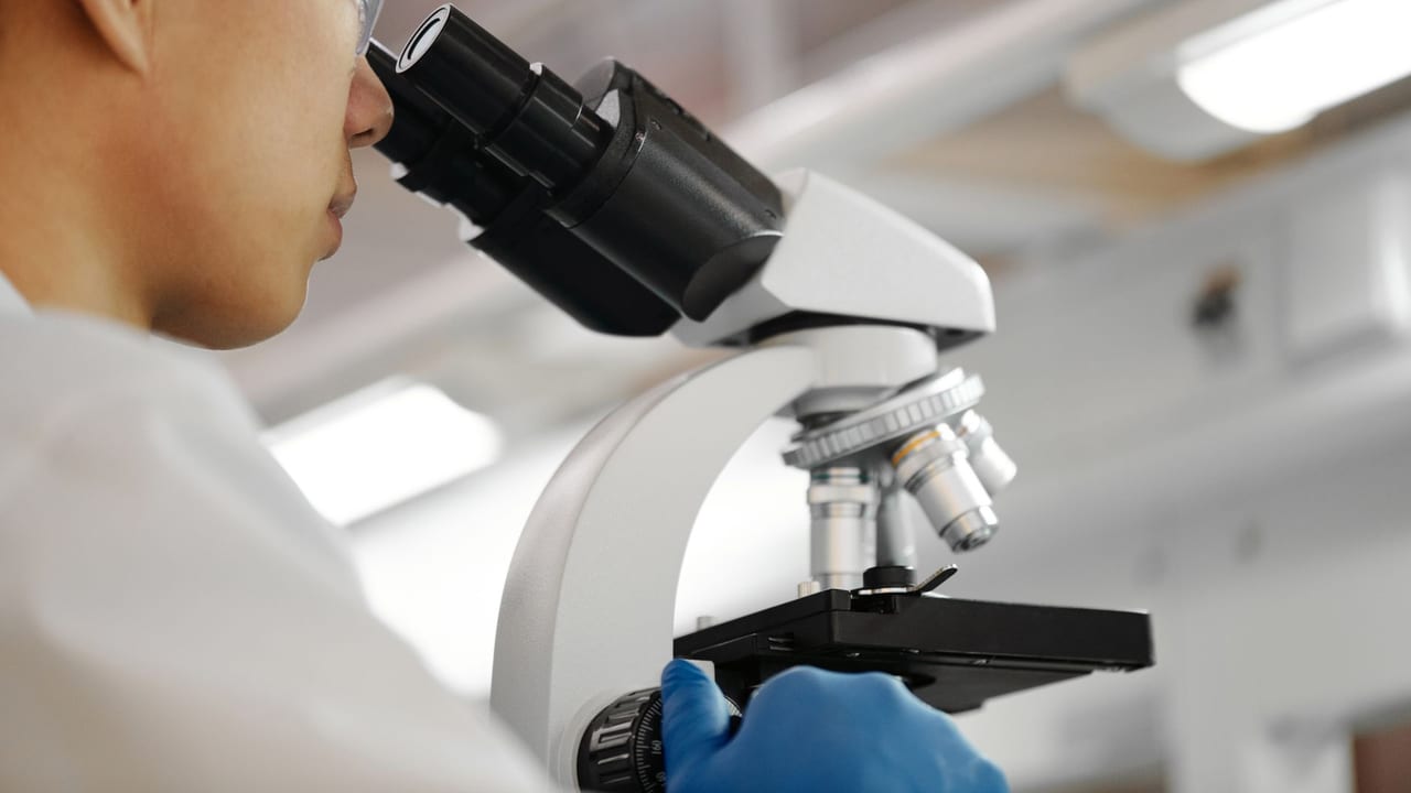Ensuring the Safety and Effectiveness of Pancreatic Beta Cells Derived from Stem Cells