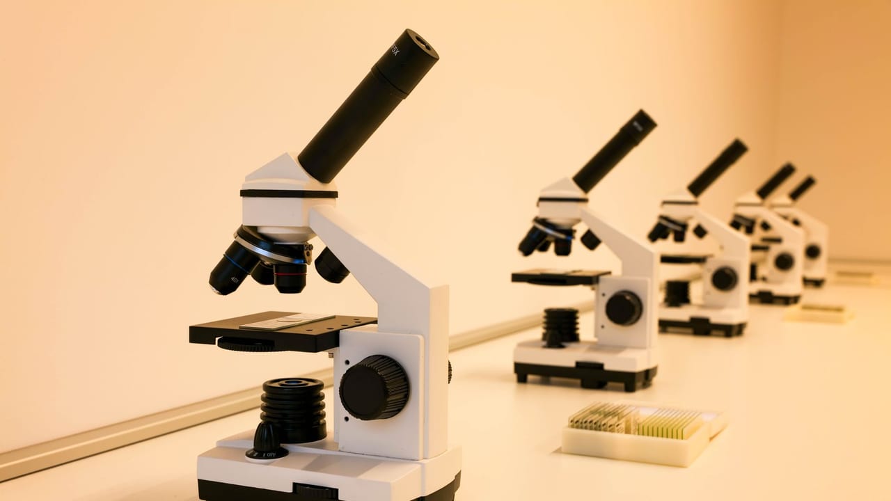 Targeted Immunotherapy Shows Promise in Protecting Pancreatic Islet Grafts