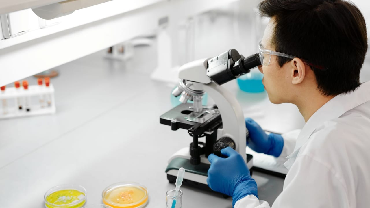 Understanding the Root Cause of Type 1 Diabetes: A Shift in Focus