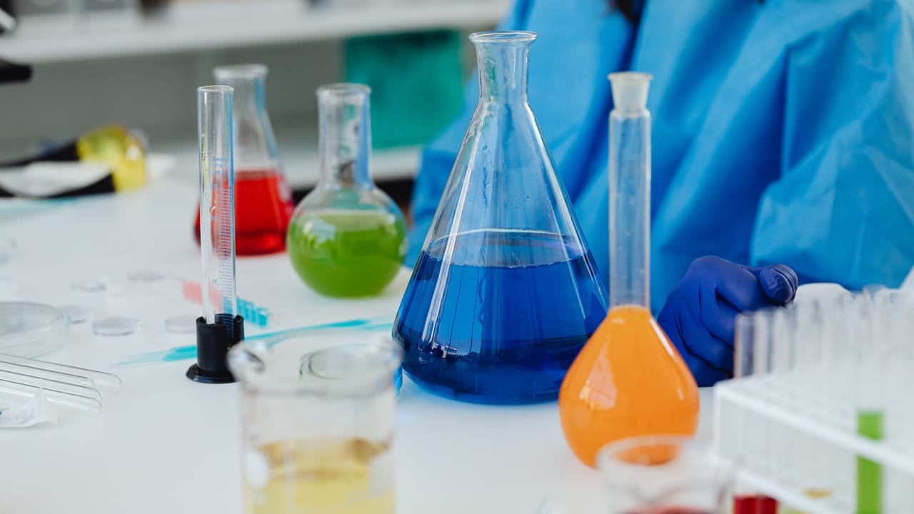 Macrophages May Help Protect and Regenerate Beta Cells