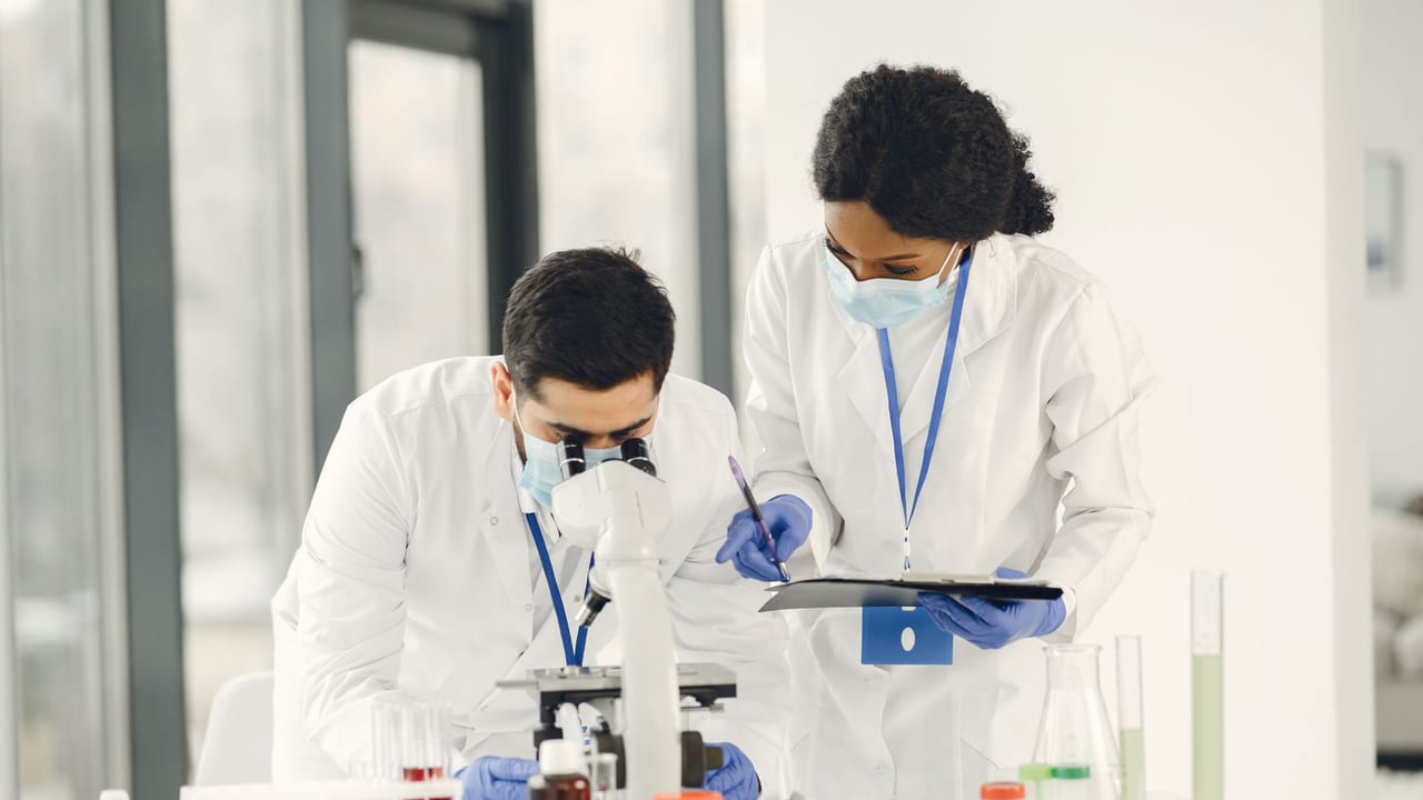 Pancreatic Ductal Cells May Play a Role in Autoimmune Destruction of Beta Cells