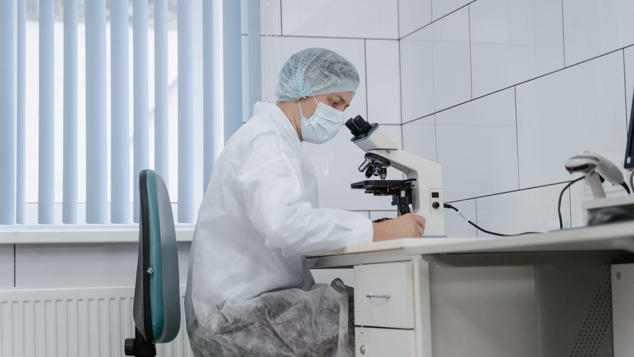 Stem Cell-Derived Islets vs. Primary Islets: How They React to Low Oxygen