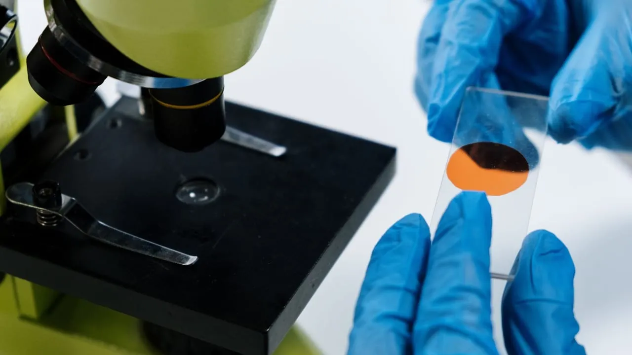 Close-up of a scientist handling a microscope slide with blue latex gloves, preparing for analysis.