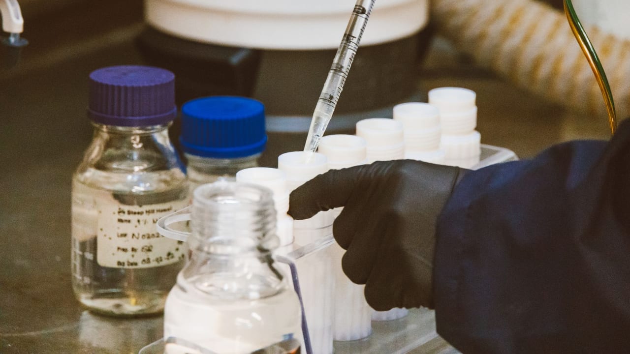 Young Adults with Type 1 Diabetes Face Considerable Treatment Burden and Lower Quality of Life
