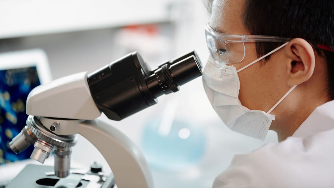 New Tool Helps Monitor Islet Transplant Success