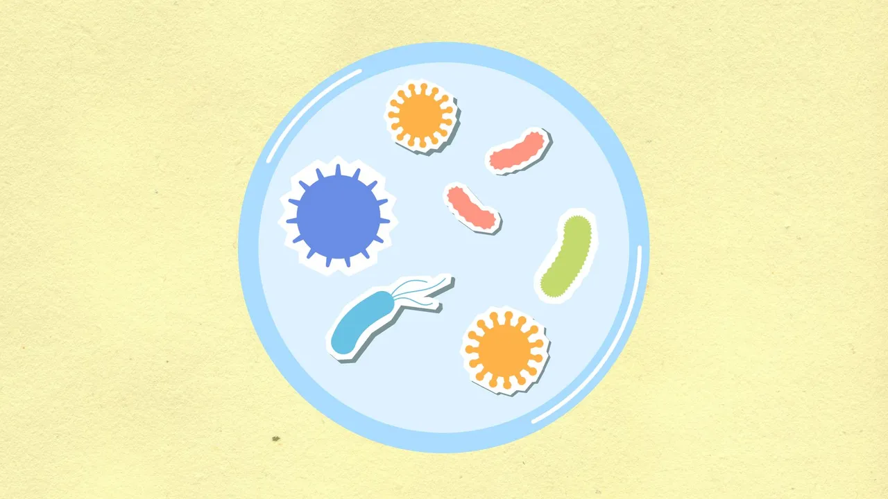 From above of decorative cardboard applique of round shaped cell with various microbes and viruses on yellow background
