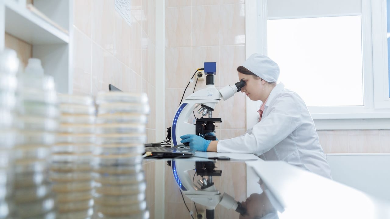 Stem Cell-Derived Islet Grafts Show Promise for Type 1 Diabetes