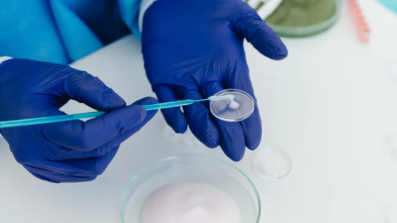 Researcher with gloves handling petri dish using laboratory equipment.