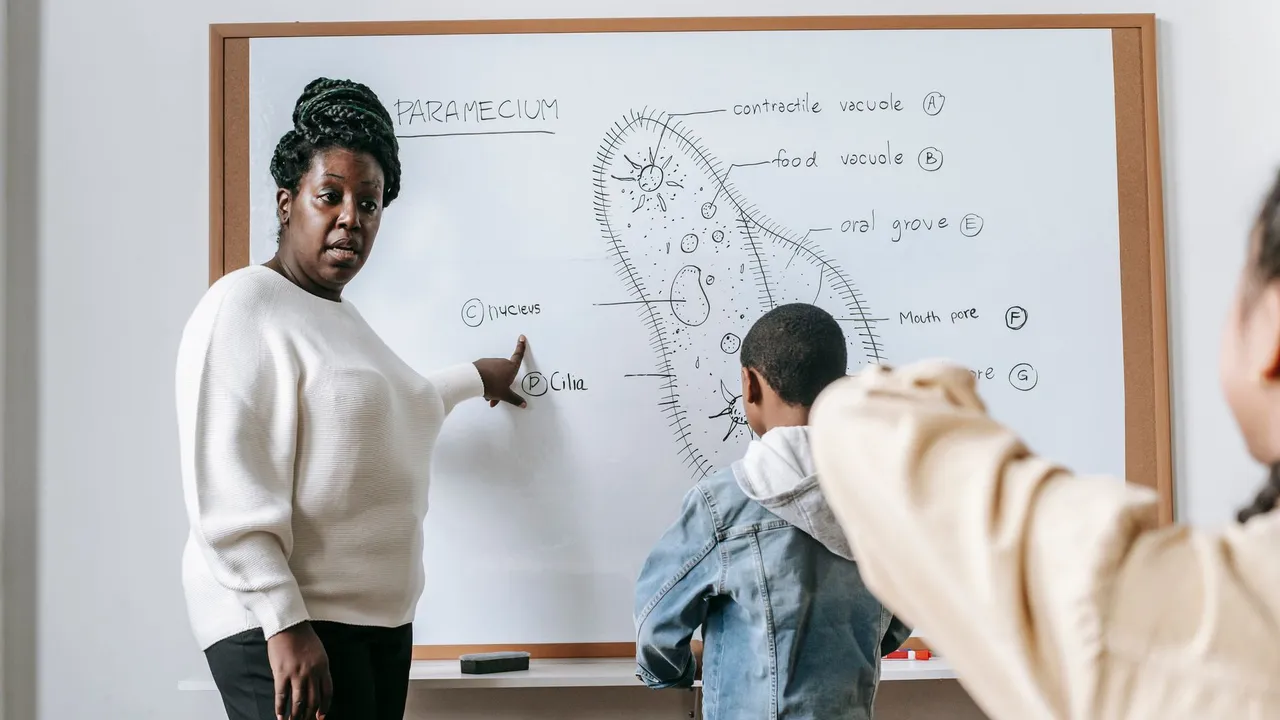 African American female teacher pointing on whiteboard while explaining lecture to classmates during lesson