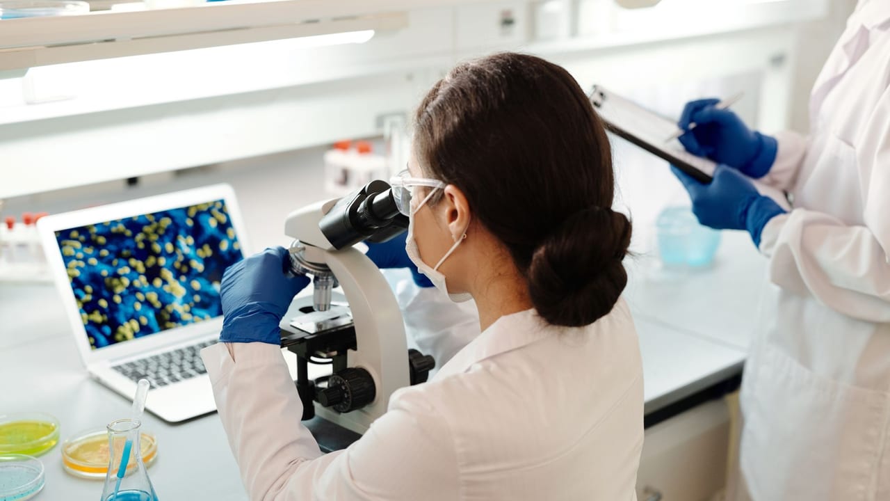 Macrophages Help Mature Stem Cell-Derived Beta Cells
