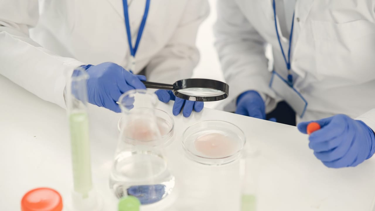 Breakthrough in Xenotransplantation: A Safe and Promising Treatment for Type 1 Diabetes