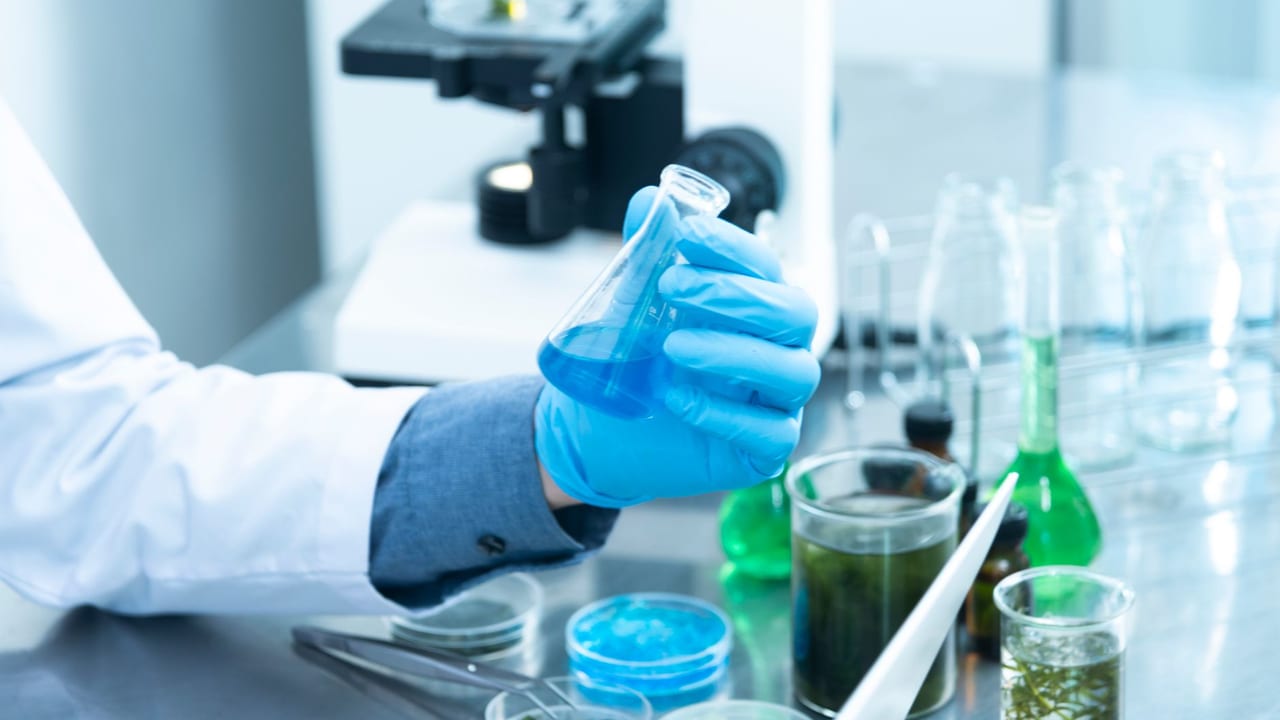 What Drives the Destruction of Pancreatic Beta Cells in Type 1 Diabetes?