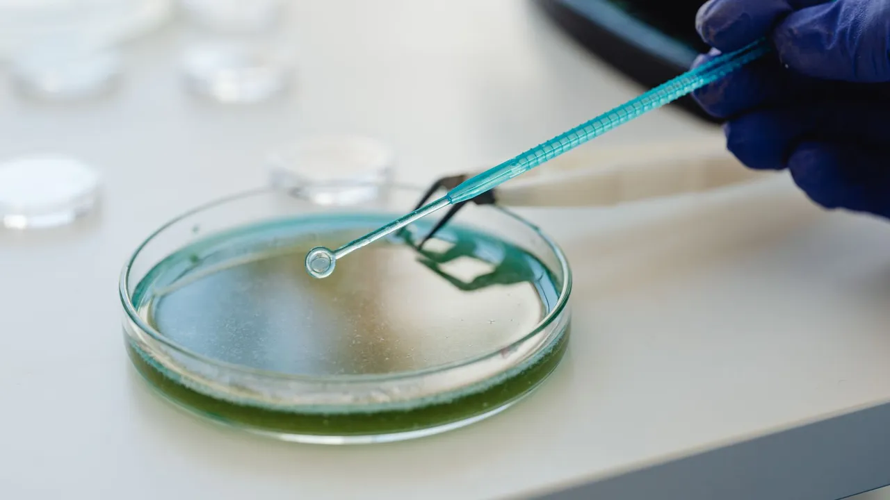 Scientist conducting an experiment with a pipette and petri dish in a lab.