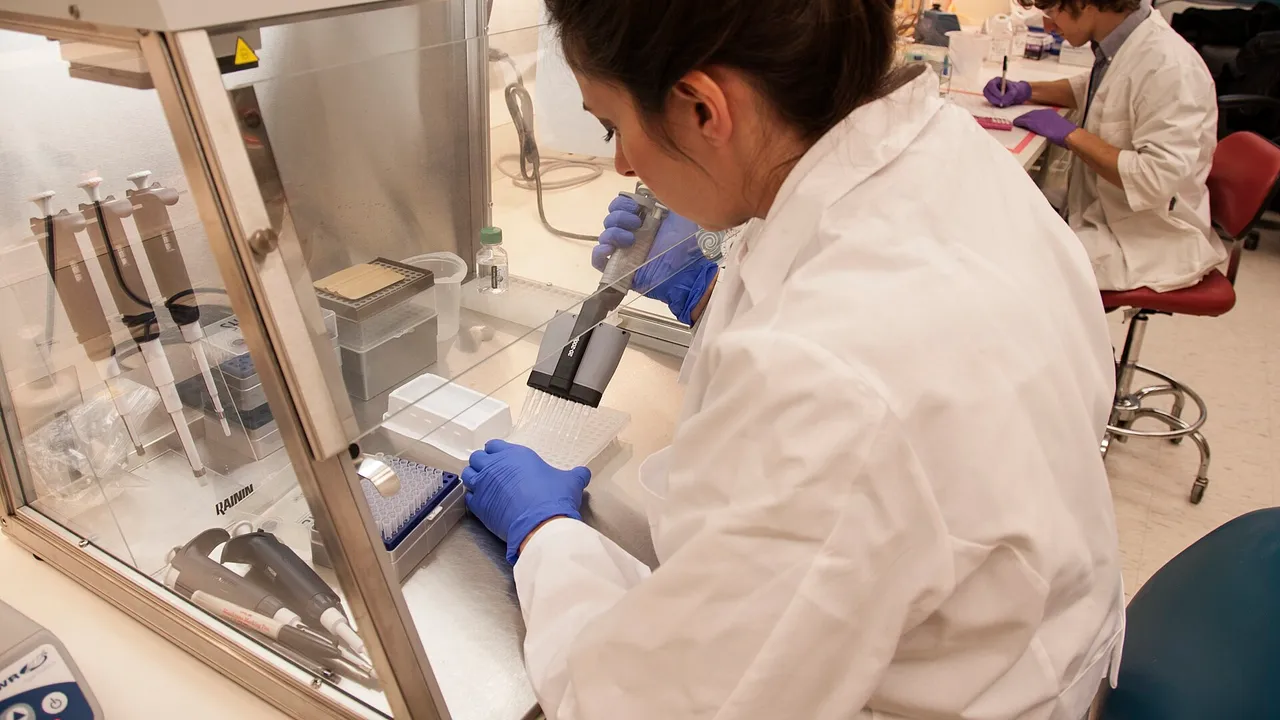 Jessica Lo Surdo, M.S. (foreground), an FDA staff scientist, studies chain reactions in stem cells in an FDA laboratory on the National Institutes of Health cam