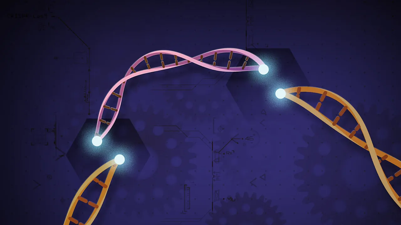 CRISPR Cas9