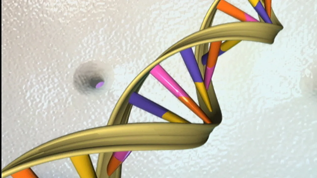 DNA Double Helix