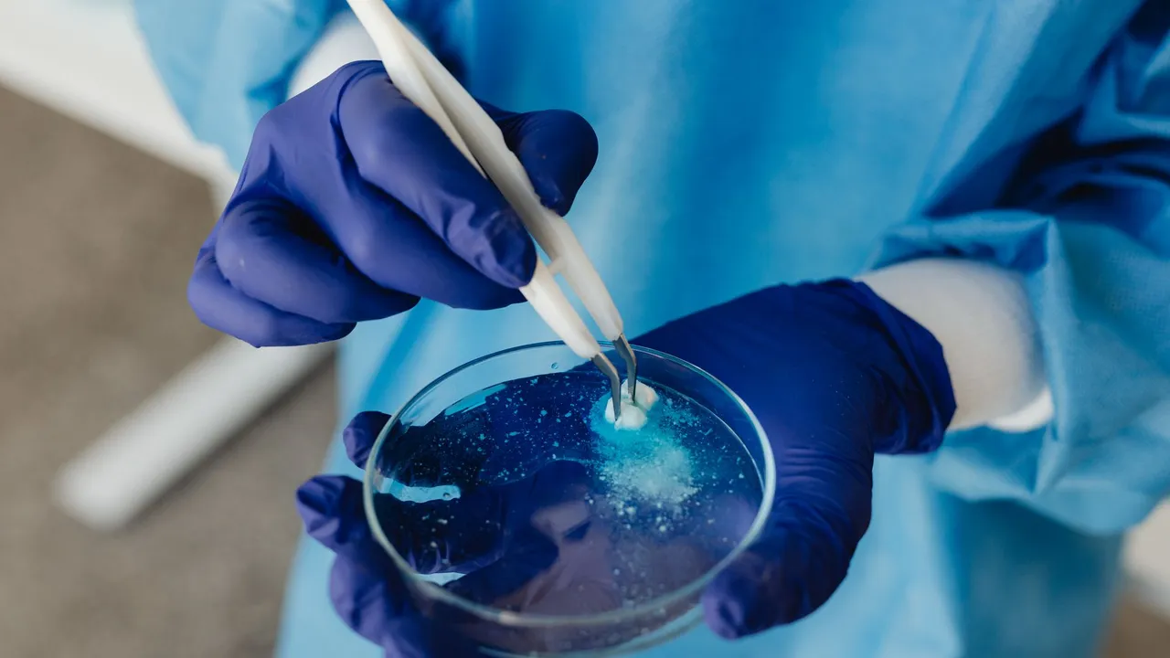 Close-up of a researcher using tweezers to work with a petri dish in a lab setting.