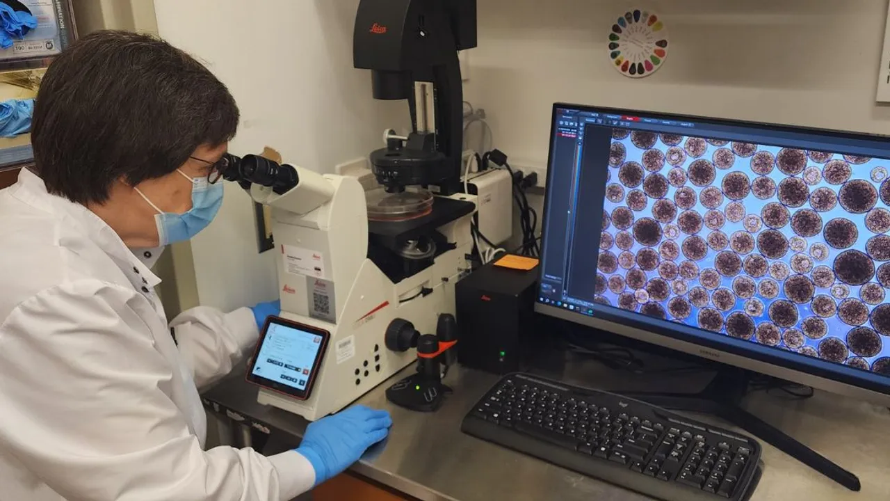 Image from breakthrought1d.org: How Islet Cell Therapy Works: What We Know Today