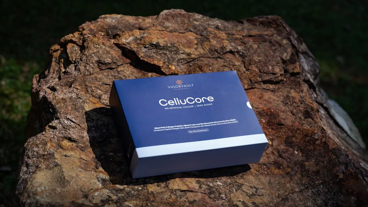 Cellucore box rests on a textured rock.
