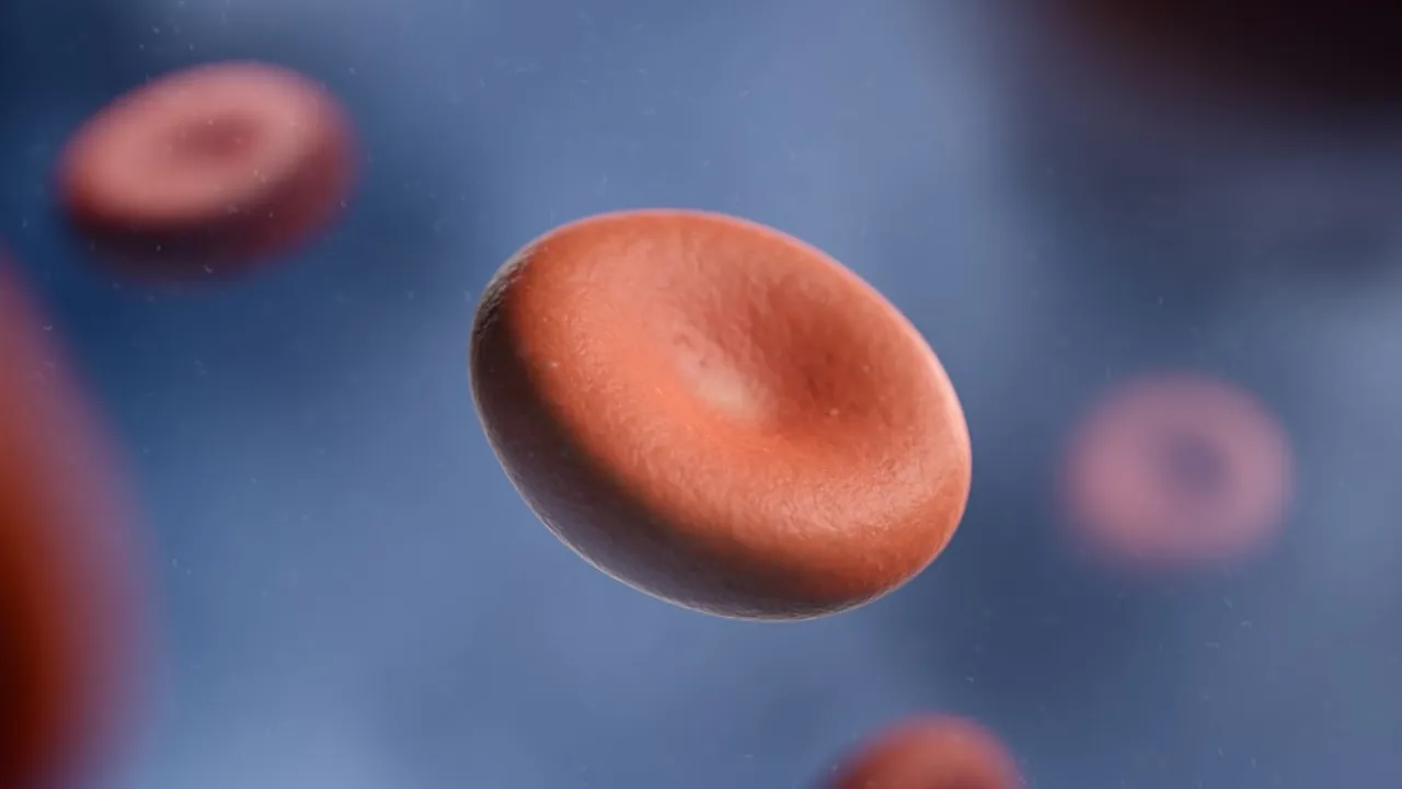 a group of red blood cells in a vein