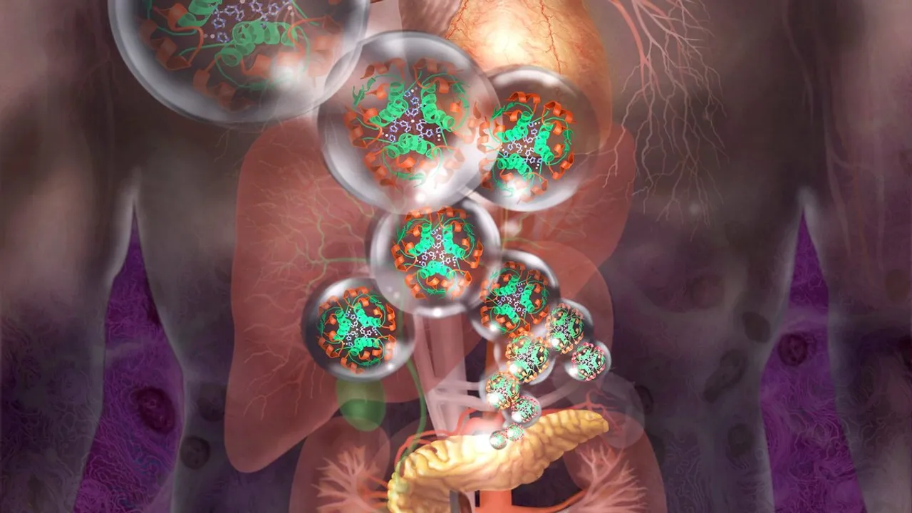 Image from scientificamerican.com: First Patient Receives Transplant of Gene-Modified Insulin-Producing Cells Without Immunosuppressant Drugs