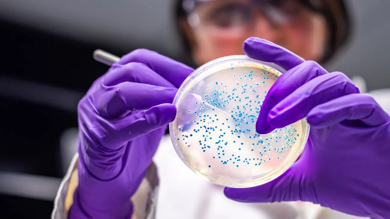 Image from diabetes.co.uk: New Immunotherapy Drug ASITI-201 Begins First Human Trial for Type 1 Diabetes