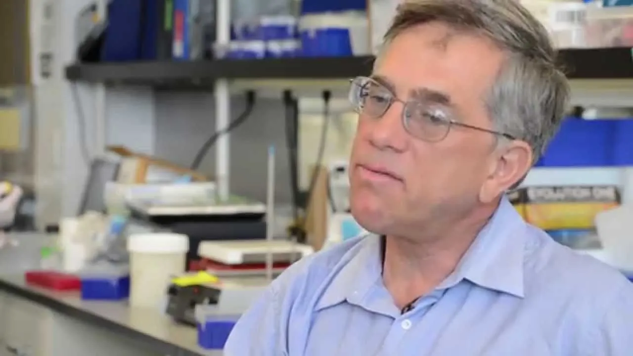 Video still from YouTube community video: Scientists Explore New Approach to Regenerate Insulin-Producing Cells