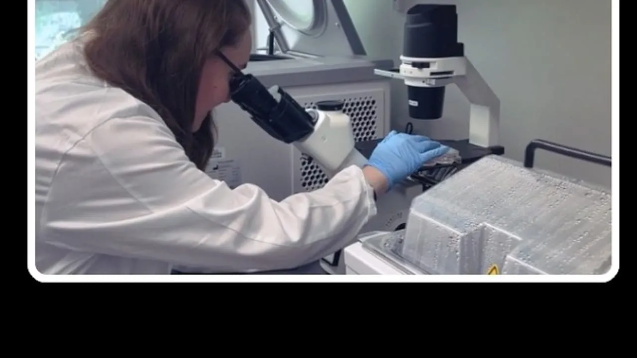 Video still from YouTube community video: Researchers Explore 'Invisible' Stem Cells to Avoid Rejection in Diabetes Cell Therapy
