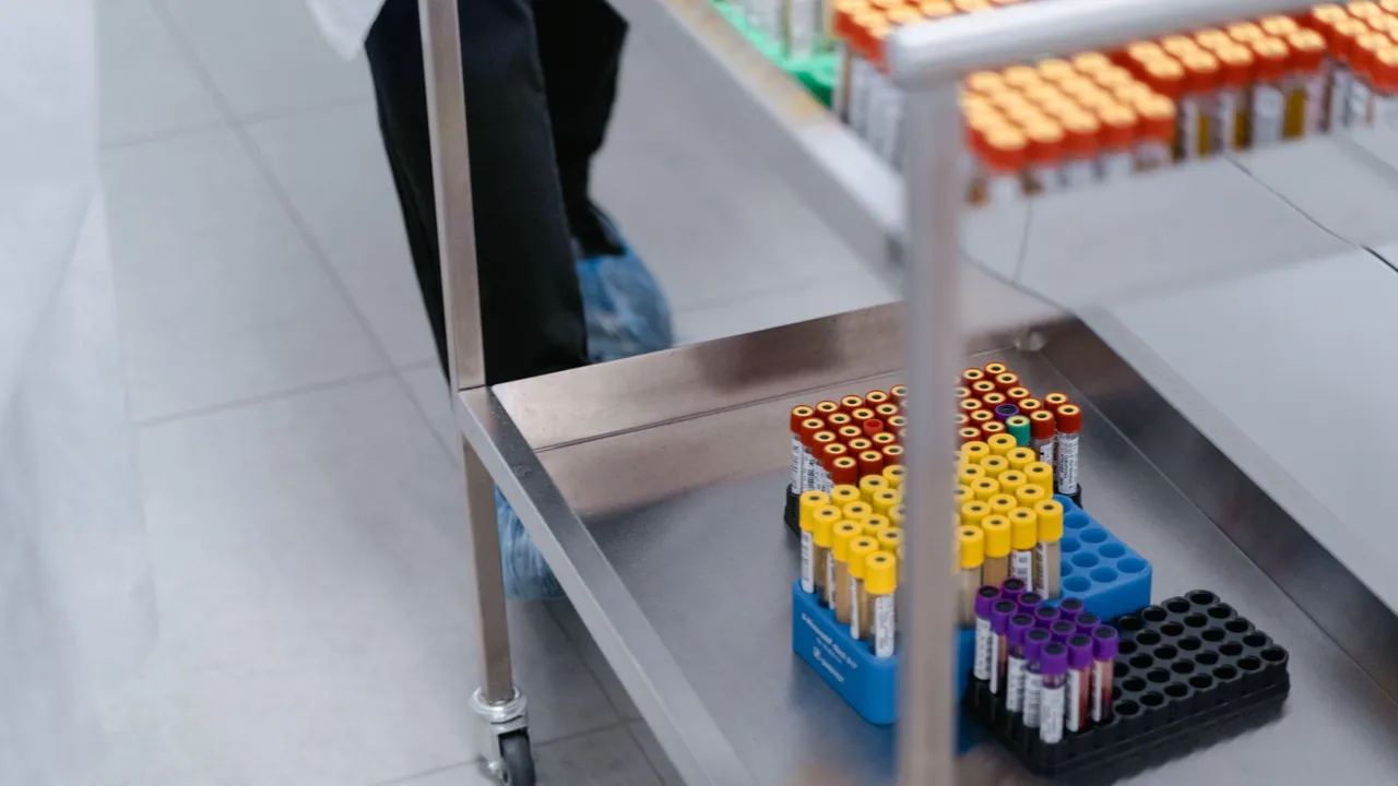 A close-up of blood sample vials organized in a laboratory setting.