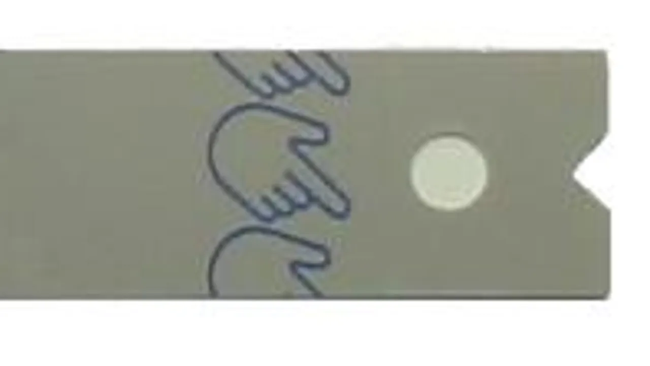 Blood glucose test strip2