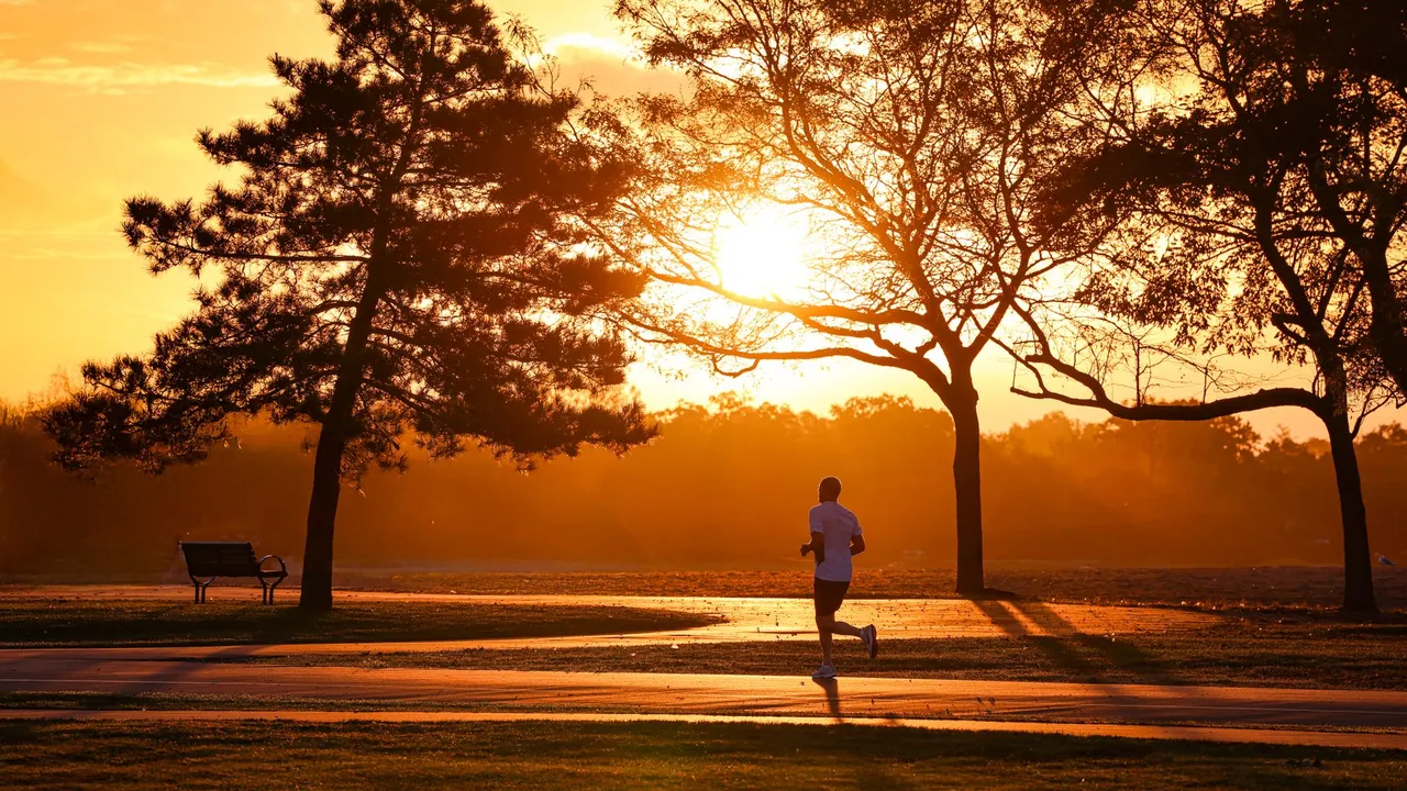 Silhouette of a runner at sunrise in Stamford's serene park setting.