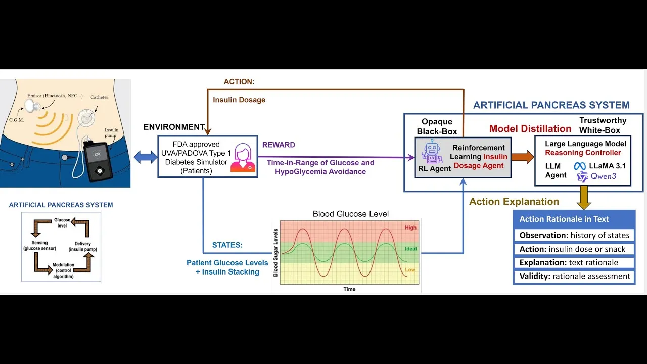Video still from YouTube / Maya Sarkar: How Automated Insulin Delivery Is Changing Type 1 Diabetes Management