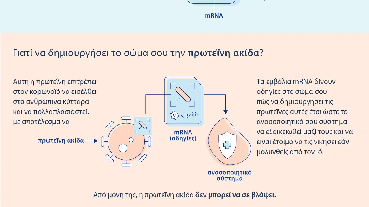 MRNA-vaccine-infographic-EL (1)