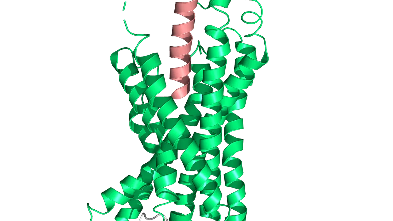 Tirzepatide+Semaglutide vs. GLP-1 GIP